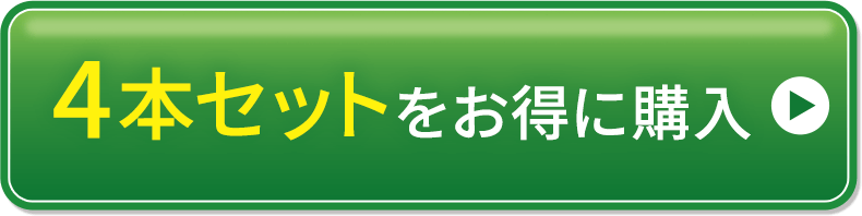 ４本セットをお得に購入