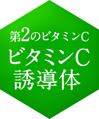 第2のビタミンC ビタミンC誘導体