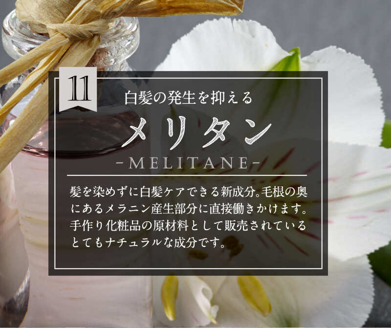 クレムドアン ６点セット 住谷杏奈Produceクリームシャンプークレムドアン