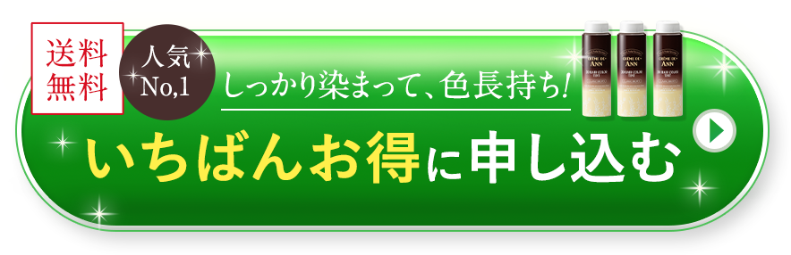 一番お得に申し込む
